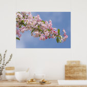Mooie roze bloemen in boomgaard poster (Keuken)