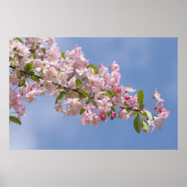 Mooie roze bloemen in boomgaard poster