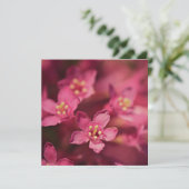 Mooie roze bloemen kaart (Staand voorkant)