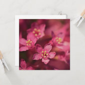 Mooie roze bloemen kaart (Voorkant / Achterkant in situ)