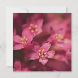 Mooie roze bloemen kaart