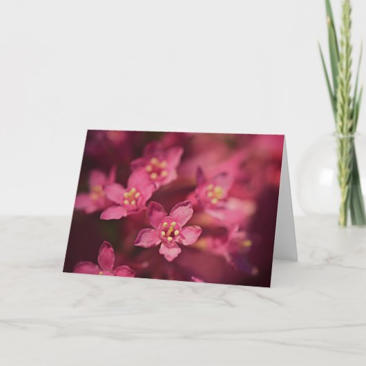 Mooie roze bloemen kaart (Voorkant)