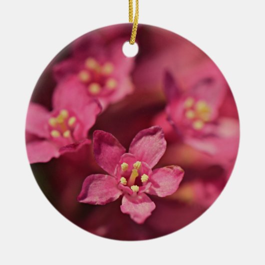 Mooie roze bloemen keramisch ornament (Voorkant)