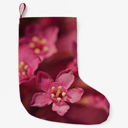 Mooie roze bloemen kleine kerstsok (Voorkant)