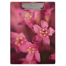 Mooie roze bloemen klembord