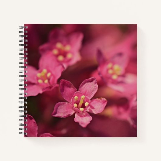 Mooie roze bloemen notitieboek (Voorkant)