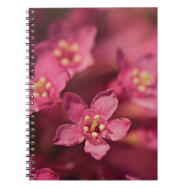 Mooie roze bloemen notitieboek