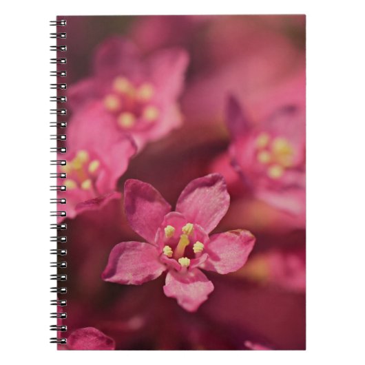 Mooie roze bloemen notitieboek (Voorkant)