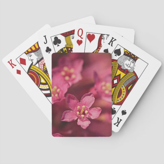 Mooie roze bloemen pokerkaarten (Achterkant)