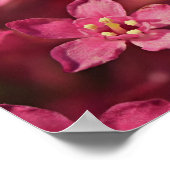 Mooie roze bloemen poster (Hoek)