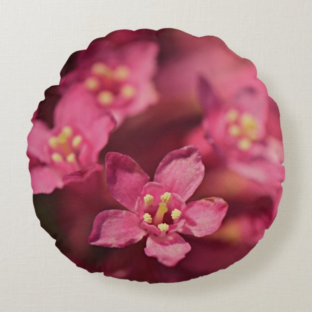 Mooie roze bloemen rond kussen (Voorkant)