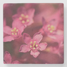 Mooie roze bloemen stenen onderzetter