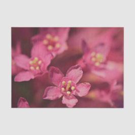 Mooie roze bloemen tissuepapier