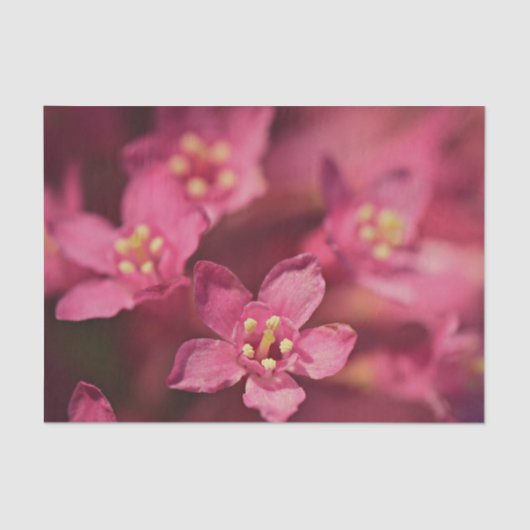 Mooie roze bloemen tissuepapier (Voorkant)