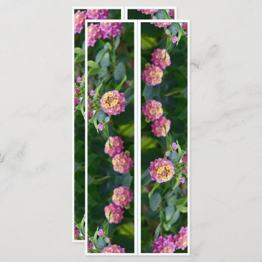 Mooie roze bloemen twee Bladwijzer (Voorkant / Achterkant)