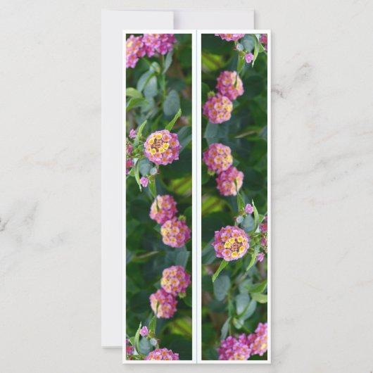 Mooie roze bloemen twee Bladwijzer (Voorkant)