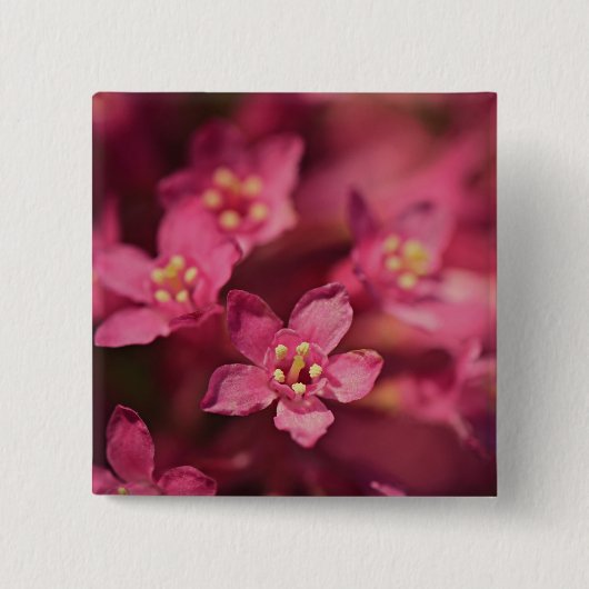 Mooie roze bloemen vierkante button 5,1 cm (Voorkant)