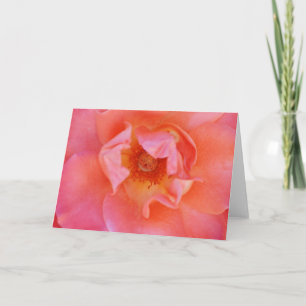 Mooie roze Blush Roos art Note Card Kaart