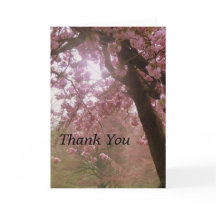 Mooie roze boombloesem Dank je wel