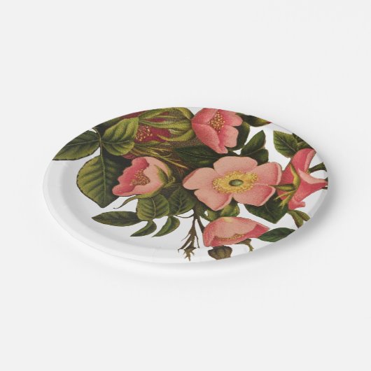 Mooie Roze Botanische Oude Rozen Papieren Bordje (Gekanteld)