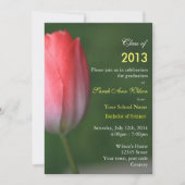 Mooie roze buikbloemgraduatie kaart (Voorkant)