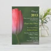 Mooie roze buikbloemgraduatie kaart (Staand voorkant)