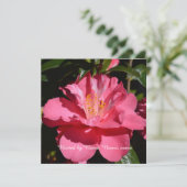 mooie roze camellia bloem alle feest kaart (Staand voorkant)