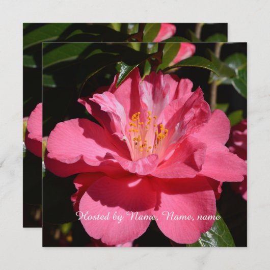 mooie roze camellia bloem voor elk feest kaart (Voorkant / Achterkant)