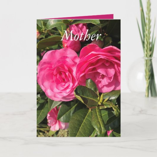 Mooie roze Camellia Moederdag Feestdagen Kaart (Voorkant)