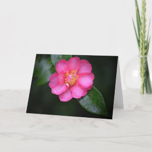 Mooie roze Camellia valt na een regen Kaart