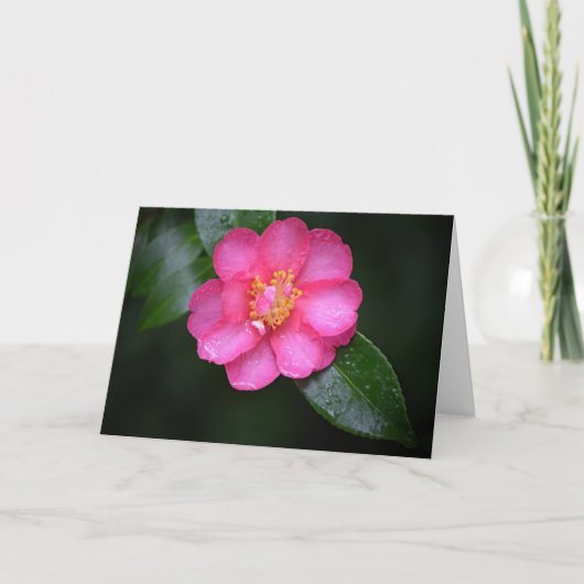 Mooie roze Camellia valt na een regen Kaart (Voorkant)