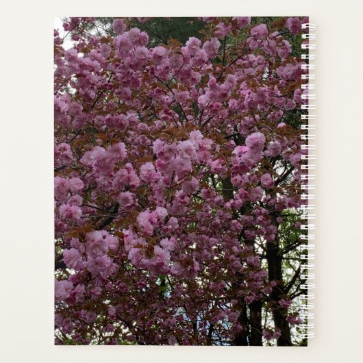 Mooie roze Cherry Tree-fotografie personaliseren Planner (Achterkant)