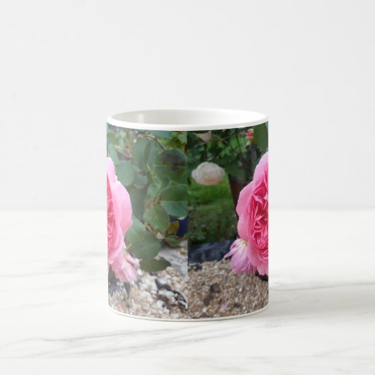 Mooie Roze Country Roos Bloementuin Mok (Center)