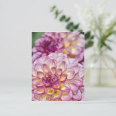 Mooie roze dahlia-bloemen briefkaart (Staand voorkant)
