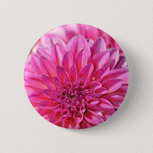 Mooie roze dahlia bloesems ronde button 5,7 cm (Voorkant)