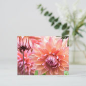Mooie roze Dahlias Briefkaart (Staand voorkant)