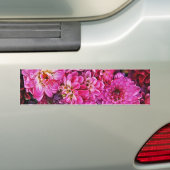 Mooie roze dahlia's bumpersticker (Op auto)