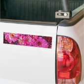 Mooie roze dahlia's bumpersticker (Op Truck)