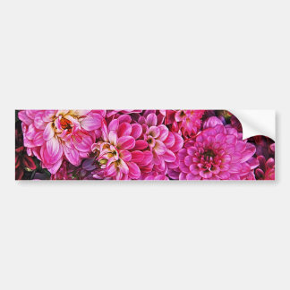 Mooie roze dahlia's bumpersticker
