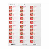 Mooie roze Dahlias Flowers Etiket (Full Sheet)