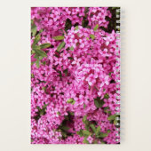 Mooie Roze Daphne Bloemen Notitieboek (Achterkant)