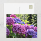 Mooie Roze en Blauwe Hydrangea Flowers Briefkaart (Voorkant / Achterkant)