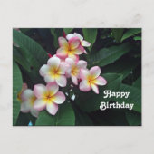 Mooie Roze en Gele Plumeria Bloemige Verjaardag Briefkaart (Voorkant)