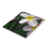 Mooie Roze en gele Plumeria Kitchen Tile Tegeltje (Zijkant)