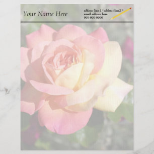 Mooie roze en gele roos bloem, op maat custom briefhoofd