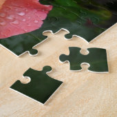 Mooie roze en oranje roos foto legpuzzel (Zijkant)