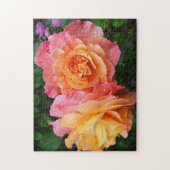 Mooie roze en oranje roos foto legpuzzel (Verticaal)