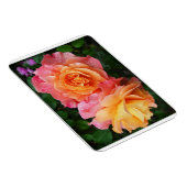Mooie roze en oranje roos foto magneet (Rechterzijde)