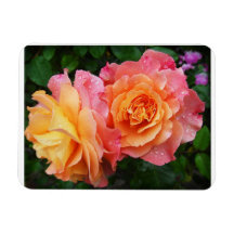 Mooie roze en oranje roos foto