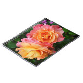 Mooie roze en oranje roos foto notitieboek (Linkerzijde)